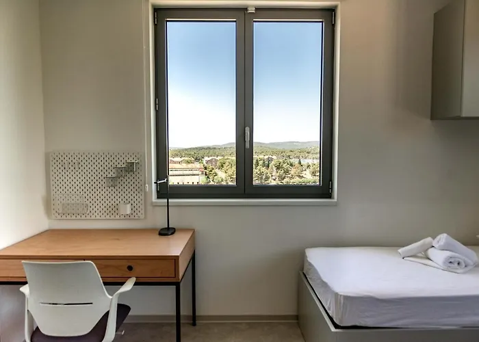 'sd Palacin' 希贝尼克